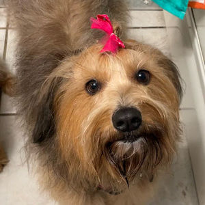 Meet your Posher, Maureen